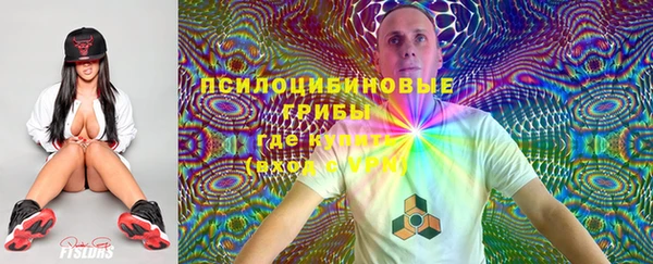 мдпв Пролетарск
