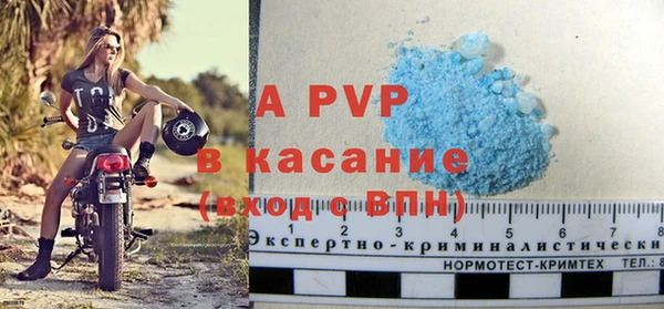 индика Россошь