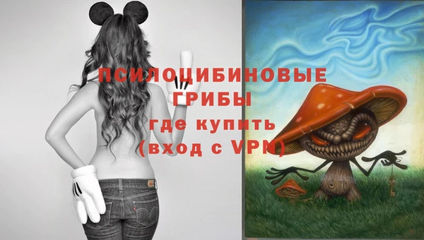 индика Россошь